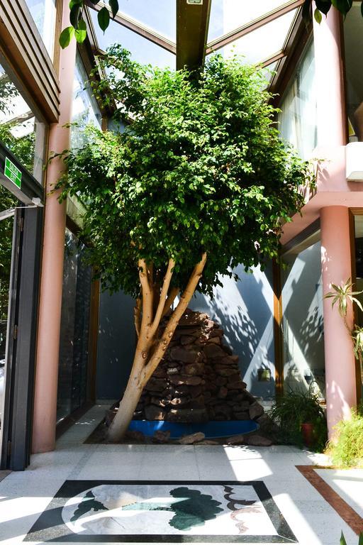 Argenta Apart Hotel Trelew Εξωτερικό φωτογραφία